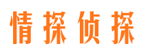 潘集市私家调查